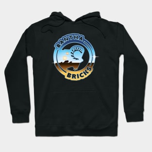 Bantha Bricks Twin Suns Hoodie